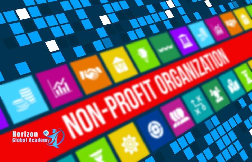 The Challenges Of Nonprofit Organizations Soft Model Horizon Global